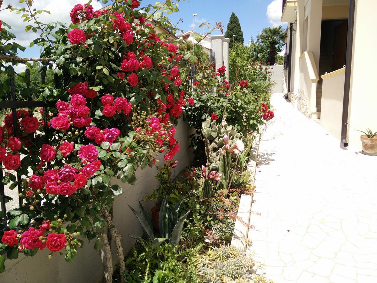B&B Green Da Maria Matera Buitenkant foto